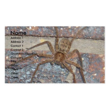 Pest Control Card Huntsman Business Card Templates