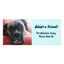 Pet Adoption Rack Card