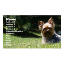 Pet care business card