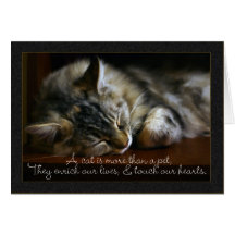 Pet Cat Sympathy Card, Loss Of Pet