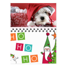 Pet Christmas Photo Card Postcard