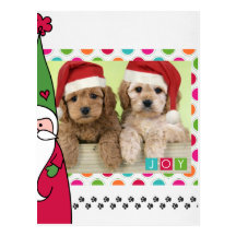 Pet Christmas Photo Card Postcards