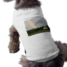 Pet Clothing