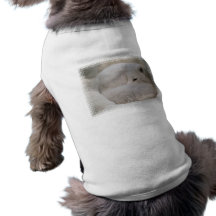 Pet Clothing - Ringer - Customized