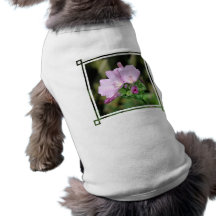 Pet Clothing - Ringer - Customized
