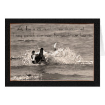 Pet Dog Sympathy Card - Touch Our Hearts