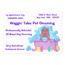 Pet Grooming Appointment And Business Card