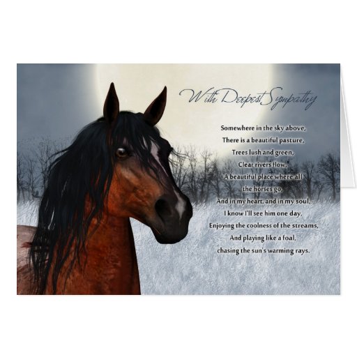 Pet Horse Sympathy Card, Loss Of Pet Horse Zazzle
