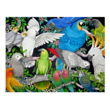 Pet Parrots of the World Postcard