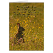 Pet Sympathy Card - Loss Of Pet Rabbit