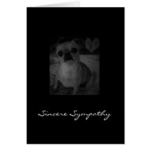 Pet sympathy greeting cards