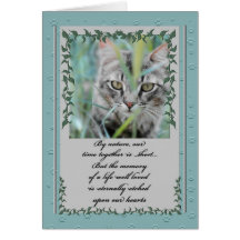 Pet Sympathy Loss of Cat Card