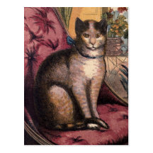 Pet Tabby Cat with Collar Blue Ribbon Postcard
