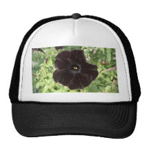 Petunia Black Velvet-A.K.A.-Black Cat Trucker Hat