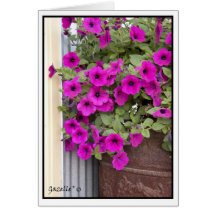 Petunia Greeting Card