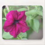 Petunia Mouse Pad