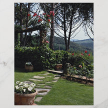 Petunias in pot, Tuscany, Italy Flyer
