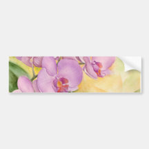 Phalaenopsis Orchid Flowers - Multi Bumper Sticker