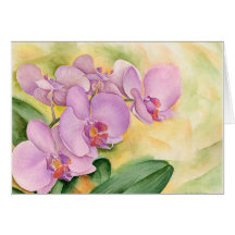Phalaenopsis Orchid Flowers - Multi Card