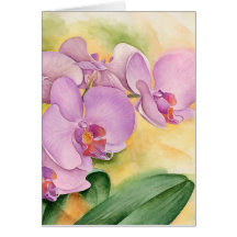 Phalaenopsis Orchid Flowers - Multi Cards