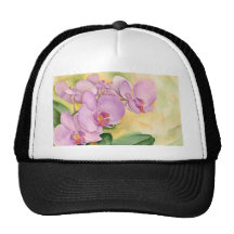 Phalaenopsis Orchid Flowers - Multi Hat