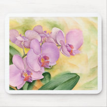 Phalaenopsis Orchid Flowers - Multi Mouse Pad