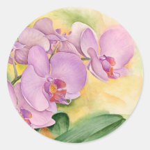 Phalaenopsis Orchid Flowers - Multi Round Stickers