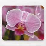 Phalaenopsis Orchid Mousepads