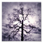 Phantastes Photo Print