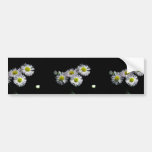 Philadelphia Fleabane Bumper Stickers