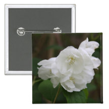 Philadelphus  (Mock Orange) Flower Magnet Buttons