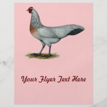Phoenix:  Silver Duckwing Hen Custom Flyer