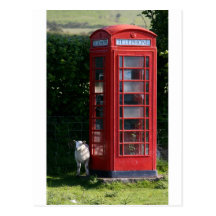 Phone home post cards