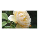 Photo Card - Beautiful Rose