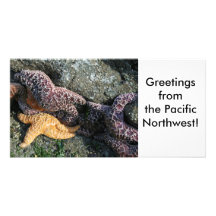 Photo Card:  Starfish