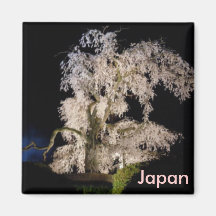 photo, Japan Refrigerator Magnets