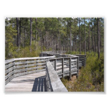 Photo Prints