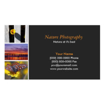 Photographer  2 business cards