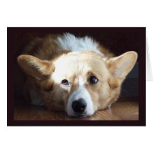 Photographic Art Corgi Card