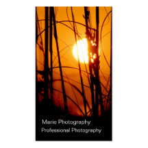 Photography Business Cards