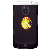photography galaxy nexus cases