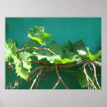 photography poster