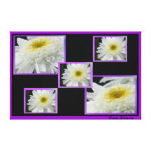 Photos on Canvas - White Daisies Canvas Print