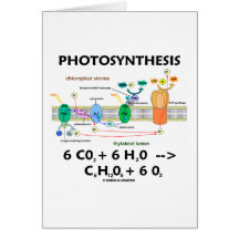 Photosynthesis (Carbon Dioxide + Water) Greeting Card
