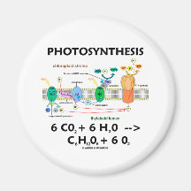 Photosynthesis (Chemical) Formula Fridge Magnets