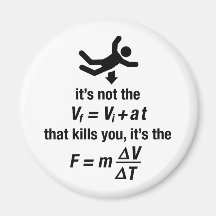 physics - it's the sudden deceleration that kills refrigerator magnet