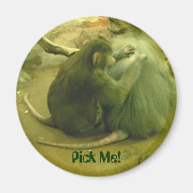 Pick Me! Magnet