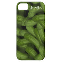 Pickles iPhone 5 Case