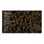 Pickling spice business card
