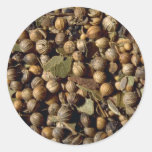 Pickling spice round sticker